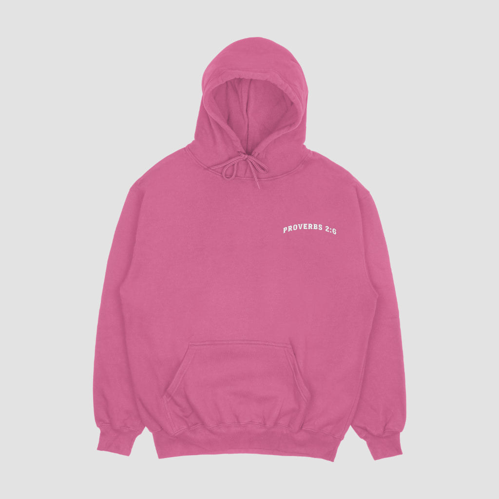 Proverbs 2:6 Hoodie