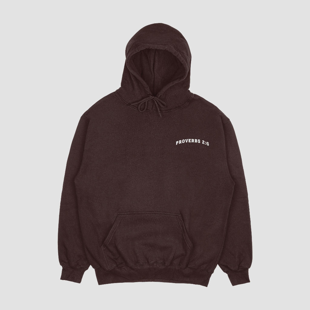 Proverbs 2:6 Hoodie