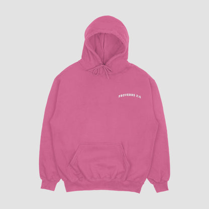 Proverbs 2:6 Hoodie