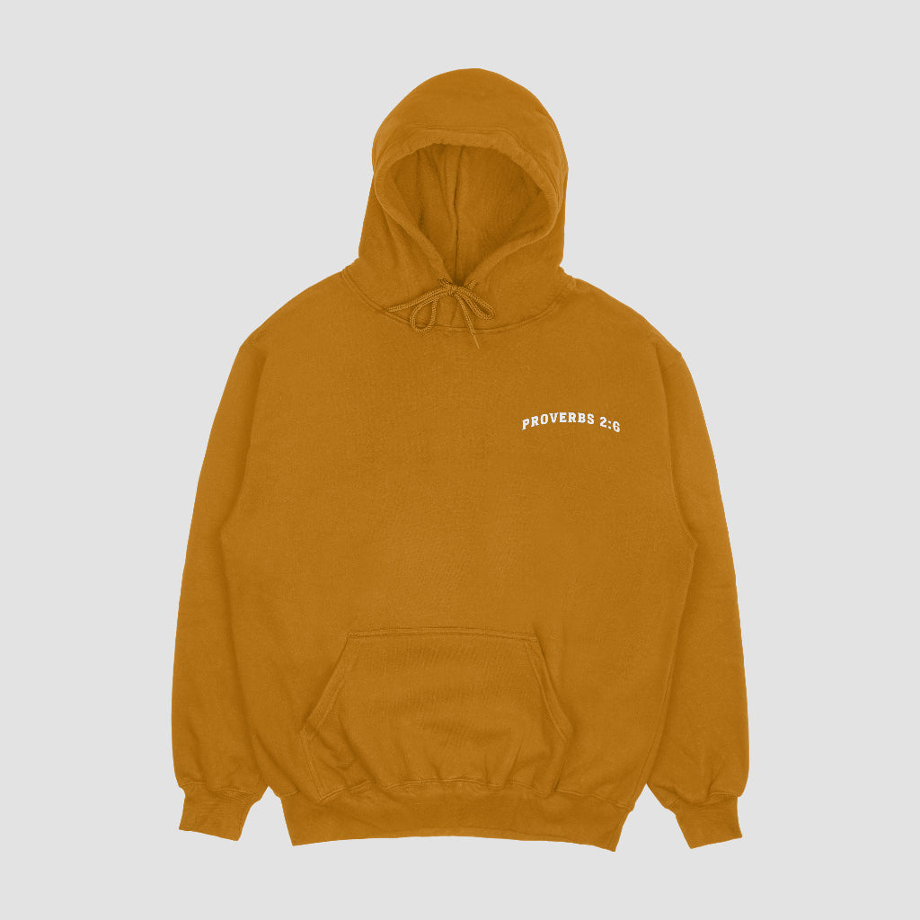 Proverbs 2:6 Hoodie