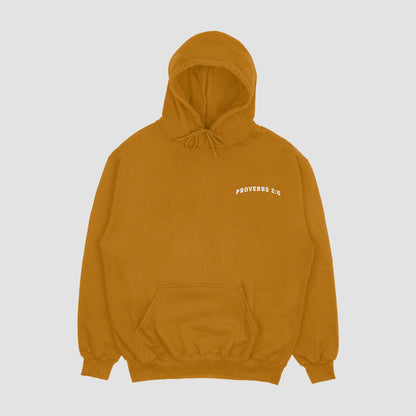 Proverbs 2:6 Hoodie